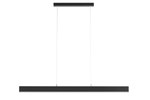 FI