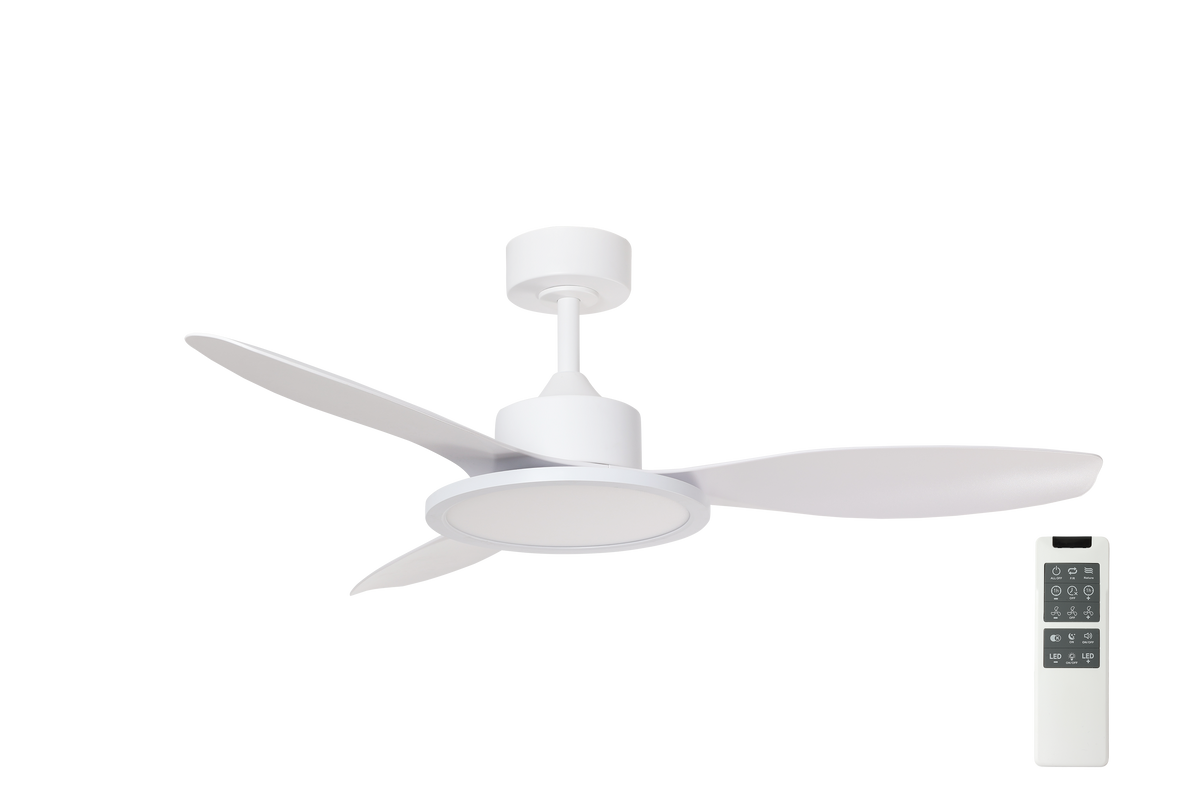 RIGA II